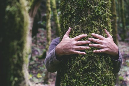 Téléchargez les photos : Love for nature concept with man hands hugging bonding green musk trunk tree in the forest woods. Environnement et protection. Planète amoureuse. Les gens dans les loisirs de plein air seul. Faire place aux arbres - en image libre de droit
