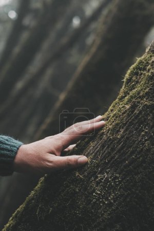 Téléchargez les photos : Gros plan d'un homme touchant doucement un tronc d'arbre avec du musc vert. Concept d'environnement et de protection de la nature, mode de vie des personnes. Arrêtez la déforestation. Sauver les forêts et les bois. Nature en plein air parc - en image libre de droit