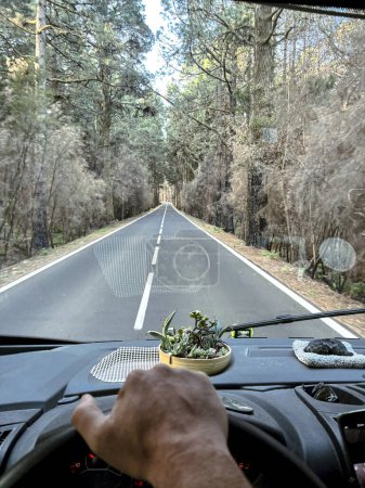 One man pov or his hands driving a vehicle on long scenic trees asphalt road. Traveling and driving camper van truck. Freedom and going to destination concept lifestyle people. Journey vanlife trip