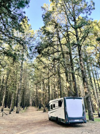 Photo for Modern motorhome camper van rv vehicle parking in the outdoors nature park with high scenic trees in background. Concept of travel and alternative vanlife house vacation. Freedom life and holiday - Royalty Free Image
