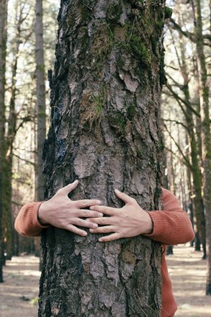 Téléchargez les photos : Amoureux de la nature étreignant tronc arbre dans la forêt. Fond naturel vert. Le concept de l'homme aime la nature et protège de la déforestation, de la pollution ou du changement climatique - en image libre de droit
