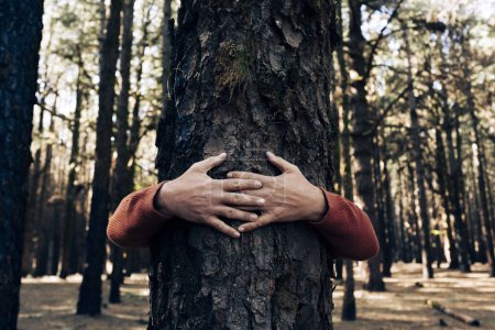 Foto de Amante de la naturaleza abrazando tronco en el bosque. Fondo natural verde. Concepto de personas que aman la naturaleza y protegen de la deforestación o la contaminación o el cambio climático - Imagen libre de derechos