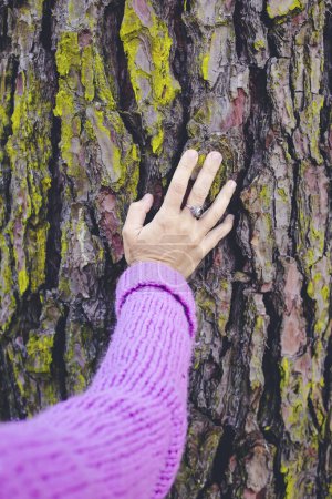 Photo for Poc of woman hand touching and caressing trunk tree in nature and outdoor leisure activity. Sustainability and environment concept natural park forest lifestyle people - Royalty Free Image