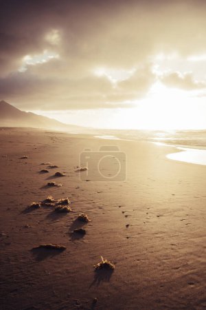 Téléchargez les photos : Impressionnante lumière du soleil beau paysage naturel sur le littoral et la plage de sable avec des montagnes en arrière-plan et les nuages et l'horizon - été concept sauvage en plein air et explorer le mode de vie - en image libre de droit