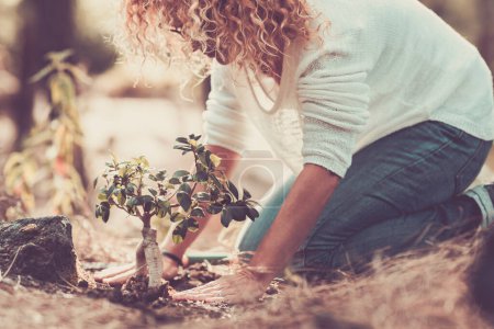 Téléchargez les photos : Portrait d'une femme qui cultive un petit arbre sur le sol forestier et sauve la planète de l'environnement naturel. Le réchauffement climatique et les soins en plein air concept mode de vie personnes. Journée de la Terre activité de loisirs - en image libre de droit