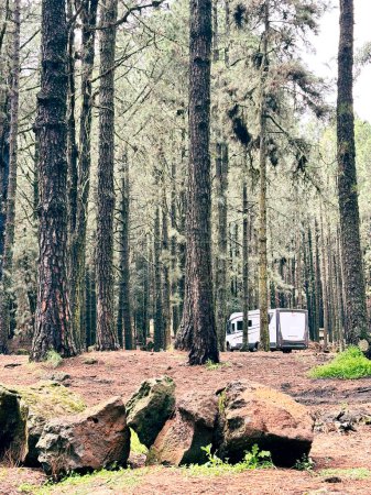 Photo for Camper van motorhome parking in the forest enjoying freedom and vanlife lifestyle alone. Travel adventure journey concept vehicle. Renting rv vehicle and high trees woods. People traveler outdoors - Royalty Free Image