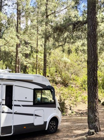 Téléchargez les photos : Camping-car moderne camping-car parking van dans la nature seule pour des vacances de voyage de liberté alternative. Vivre hors réseau dans le style vanlife Véhicule récréatif dans la forêt forestière - en image libre de droit