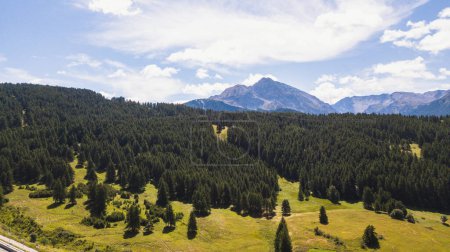 Photo for Mountain peak top landscape green valley with pines and trees and meadow view with blue sky. Beauty of nature outdoors. Hiking concept scenic place. Italy Alps view. Clouds and valley - Royalty Free Image