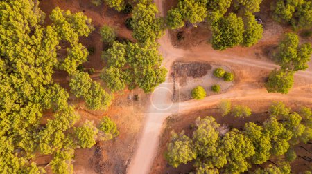 Orange road in the desert off road concept scenic place. Abstract nature background drone aerial top vertical view. Forest trees green around