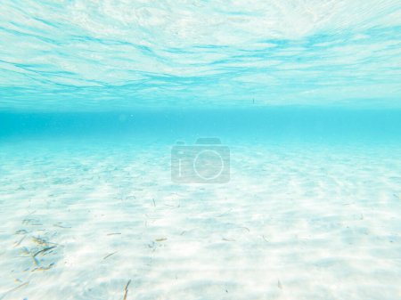 Unterwasserblick mit transparentem Meerwasser und weißem Sand. Karibik Malediven Konzept Sommerferien Urlaub