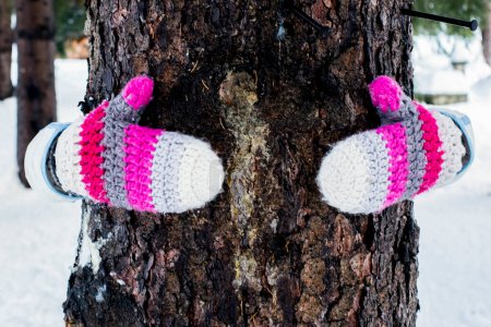Foto de Mujer detrás de un tronco de pino, abrazándolo con guantes de punto cálidos y coloridos. Nieve paisaje natural bosques pintorescos y turista con estilo de vida ambiental. Felicidad y libertad - Imagen libre de derechos