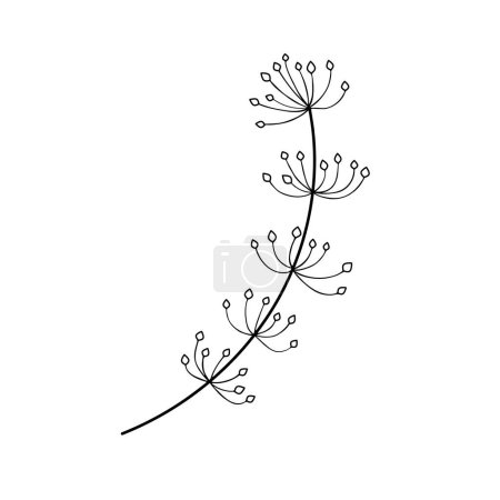 Illustration for Hand sketched floral design element - Royalty Free Image