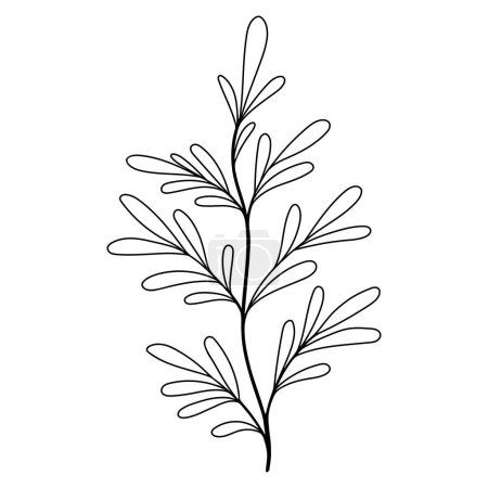 Illustration for Hand drawn line wedding herb, elegant leaves for invitation save the date card. - Royalty Free Image