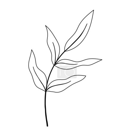 Illustration for Hand drawn Botanical vector illustration. - Royalty Free Image