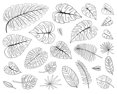 Photo for Vector hand drawn black line design elements. Collection of Different Tropical Leaves - Royalty Free Image