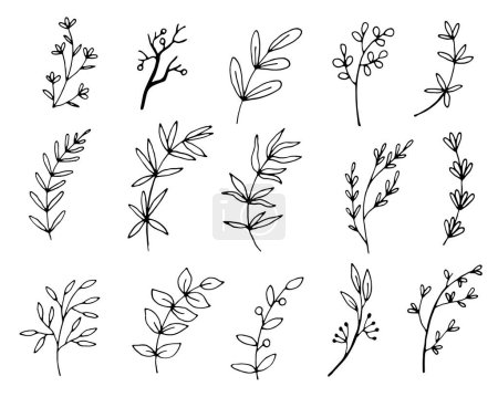 Photo for Hand drawn floral elements. Vintage botanical illustrations. - Royalty Free Image