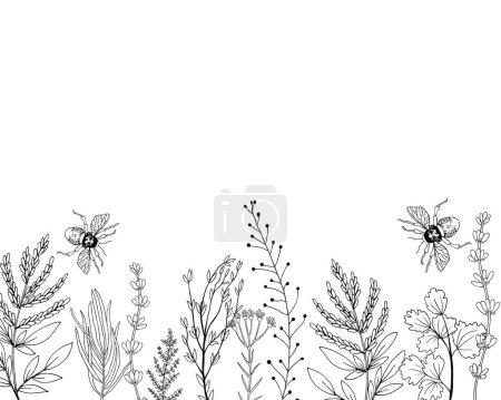 Photo for Hand drawn sketch flowers and insects. - Royalty Free Image