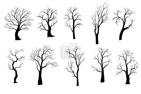 Photo for Silhouette of tree without leaves. Hand drawn isolated illustrations - Royalty Free Image