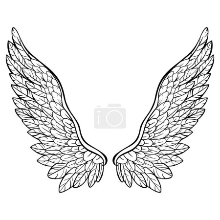 Photo for Wings, drawn in ink, black and white illustration, vector design - Royalty Free Image