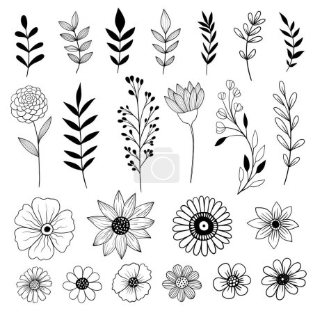 Photo for Collection of hand drawn flowers, leaves and branches, black and white illustration, outline drawing - Royalty Free Image