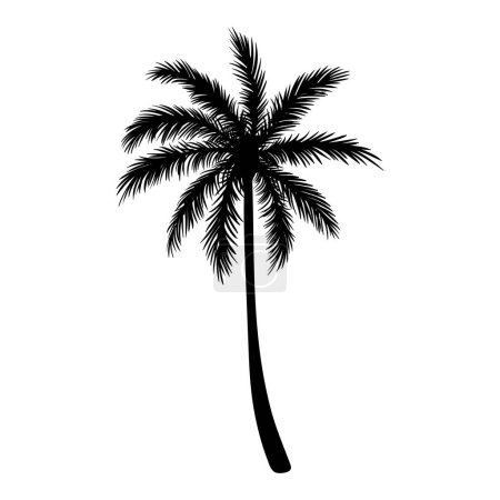 Photo for Black silhouette of palm tree isolated on white background, hand drawn illustration - Royalty Free Image