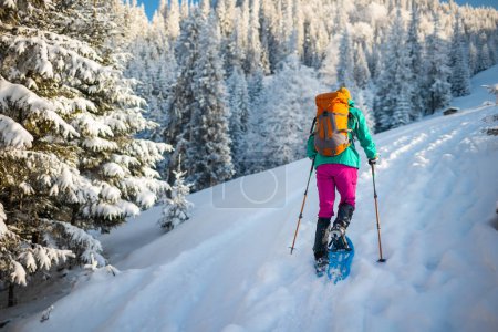 Una mujer camina en raquetas de nieve en la nieve, trekking de invierno, una persona en las montañas en invierno, equipo de senderismo
