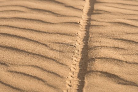 Foto de Bicycle wheel track on the sand with dunes in the desert - Imagen libre de derechos