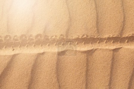 Foto de Bicycle wheel track on the sand with dunes in the desert with bright sunlight - Imagen libre de derechos