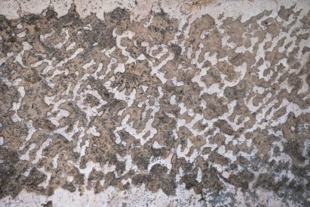 Photo for Background with a texture of an ancient stony pavement surface close up - Royalty Free Image