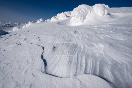 Foto de Increíbles texturas de nieve con árboles congelados en el fondo - Imagen libre de derechos