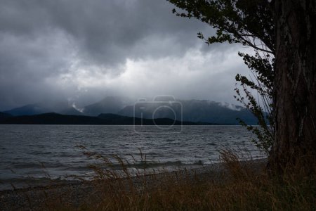 Vue imprenable sur le lac nuageux de derrière un arbre avec des montagnes cachées en arrière-plan