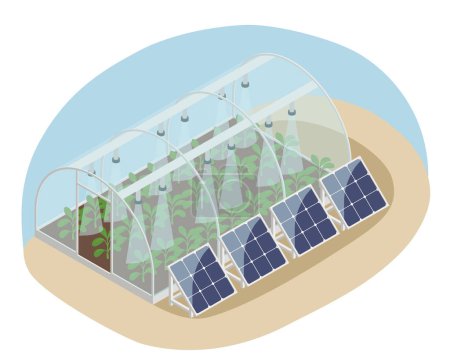 Illustration for Smart farm greenhouse with hydroponics. Isometric vector illustration - Royalty Free Image