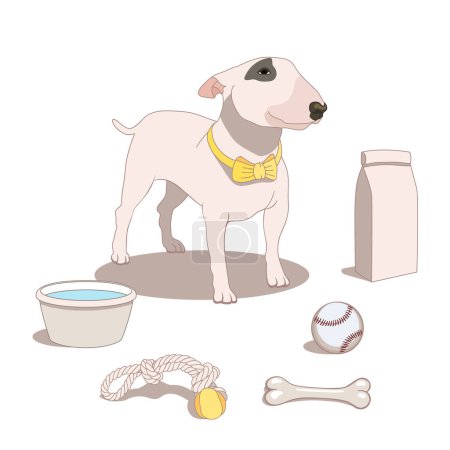 Hand drawn bull terrier dog with pet supplies