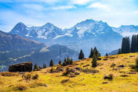 Téléchargez les photos : Vue d'automne depuis le sentier de randonnée près du village de Murren, en Suisse. Chaîne de montagnes de sommets Eiger, Monch, Jungfraujoch ou Jungfrau dans les Alpes suisses. Paysage automnal d'herbe jaune et de montagnes enneigées. - en image libre de droit