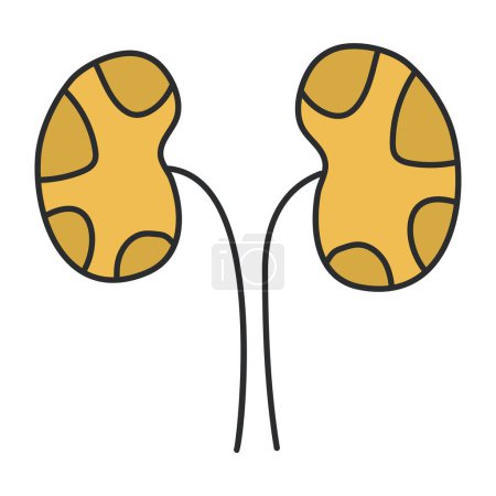 Premium download icon of kidneys
