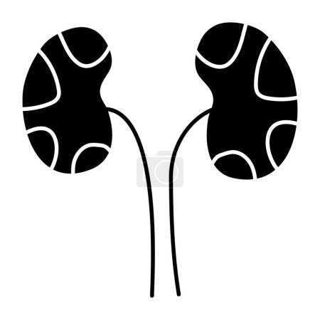 Premium download icon of kidneys