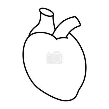 Icono de diseño perfecto de corazón