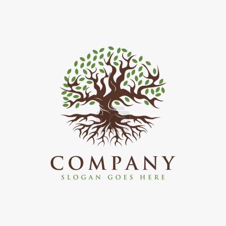 Illustration for Vintage tree of life Logo, old oak tree logo, old big tree with the root logo vector on white background - Royalty Free Image