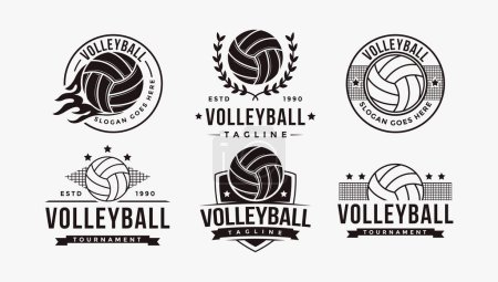 Set of vintage badge emblem Volley club logo, Volley tournament vector icon on white background