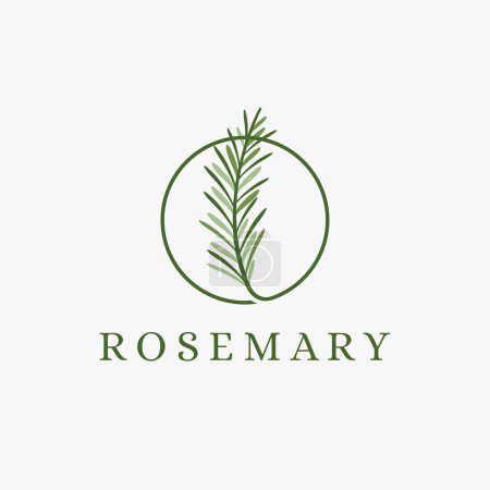 Illustration for Fresh green frame rosemary logo icon vector on white background - Royalty Free Image
