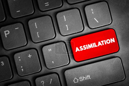 Photo for Assimilation - process whereby individuals or groups of differing ethnic heritage are absorbed into the dominant culture of a society, text button on keyboard, concept background - Royalty Free Image