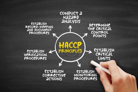 Photo for HACCP PRINCIPLES, identification, evaluation, and control of food safety hazards based on the following seven principles, mind map concept on blackboard for presentations and reports - Royalty Free Image