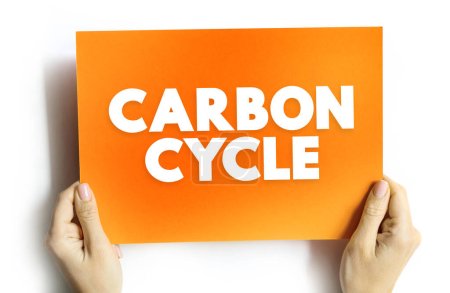 Foto de Ciclo del carbono: proceso en el que los átomos de carbono viajan continuamente de la atmósfera a la Tierra y luego regresan a la atmósfera, concepto de texto en tarjeta - Imagen libre de derechos