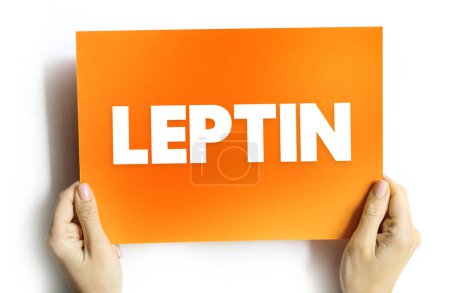 Téléchargez les photos : La leptine est une hormone produite par les cellules adipeuses et son rôle principal est de réguler le bilan énergétique à long terme, concept de texte sur carte - en image libre de droit