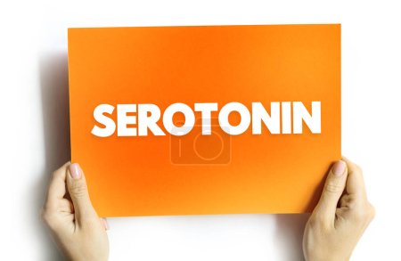 Serotonin ist eine Chemikalie, die Botschaften zwischen Nervenzellen im Gehirn und im ganzen Körper transportiert, Textkonzept auf Karte