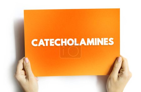Photo for Catecholamines is a monoamine neurotransmitter, an organic compound that has a catechol and a side-chain amine, text concept on card - Royalty Free Image