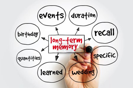 Photo for Long-term Memory mind map, concept for presentations and reports - Royalty Free Image