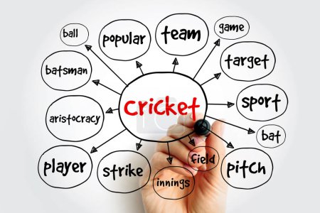 Photo for Cricket mind map, sport concept for presentations and reports - Royalty Free Image