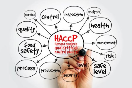 Téléchargez les photos : HACCP - Analyse des risques et maîtrise des points critiques carte mentale, concept de santé pour les présentations et les rapports - en image libre de droit