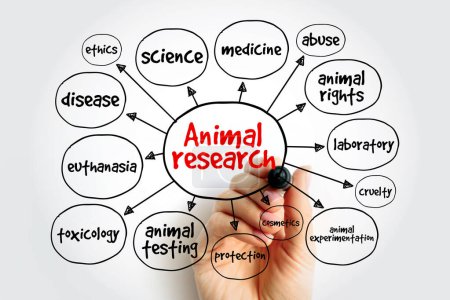 Téléchargez les photos : Carte mentale de la recherche animale, concept pour les présentations et les rapports - en image libre de droit